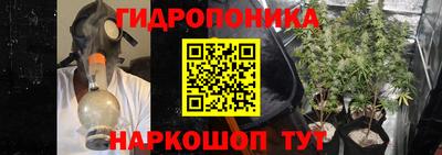 прущие грибы Бугуруслан