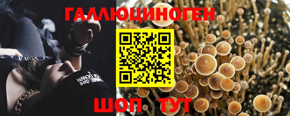 Псилоцибиновые грибы MAGIC MUSHROOMS Похвистнево