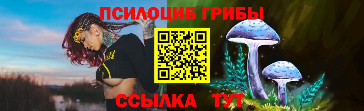 Псилоцибиновые грибы прущие грибы  Вход с VPN  цена наркотик  Галлюциногенные грибы Psilocybine cubensis  Похвистнево 